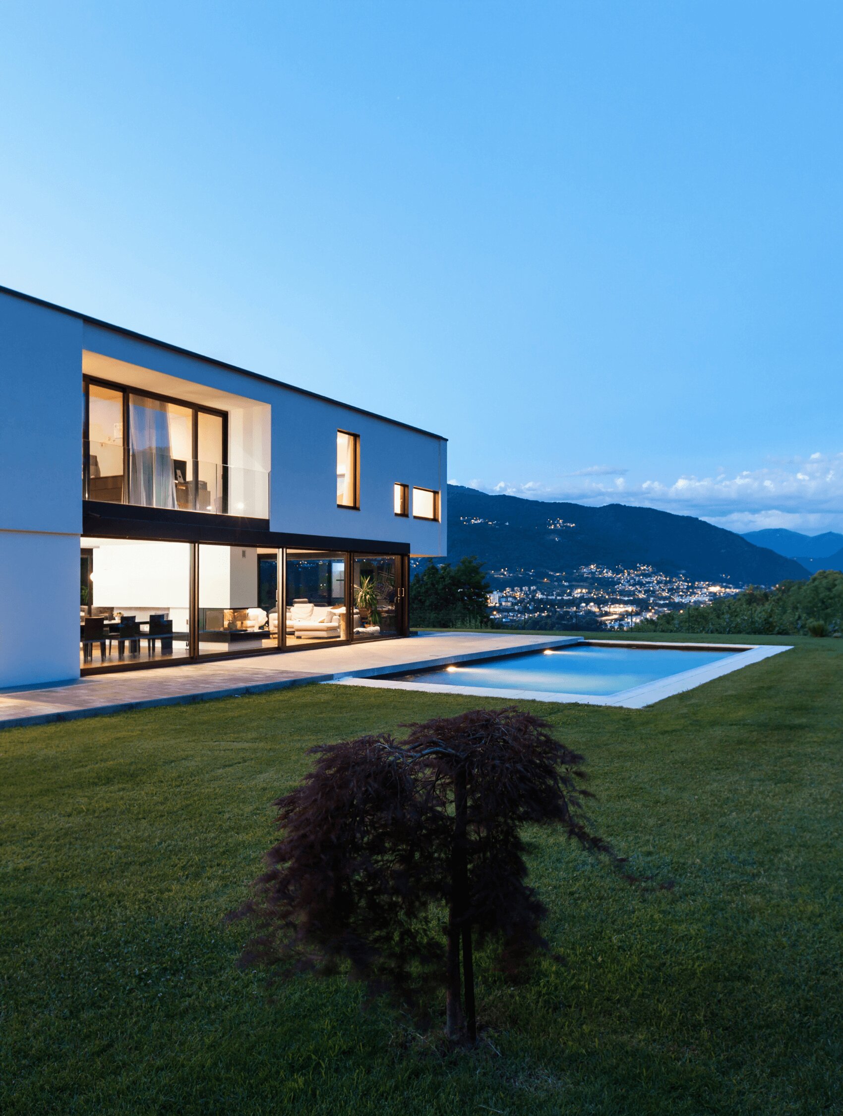 Customer profile user interface